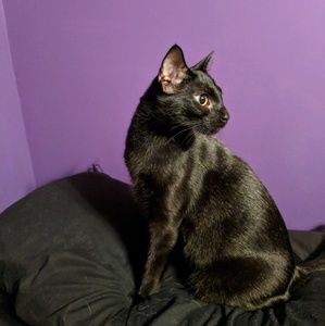 Meet your Posher, Brooke